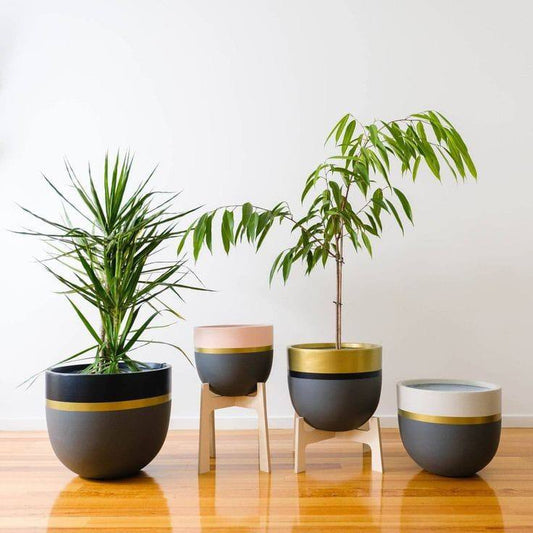 CP-32 pottery Plant pot