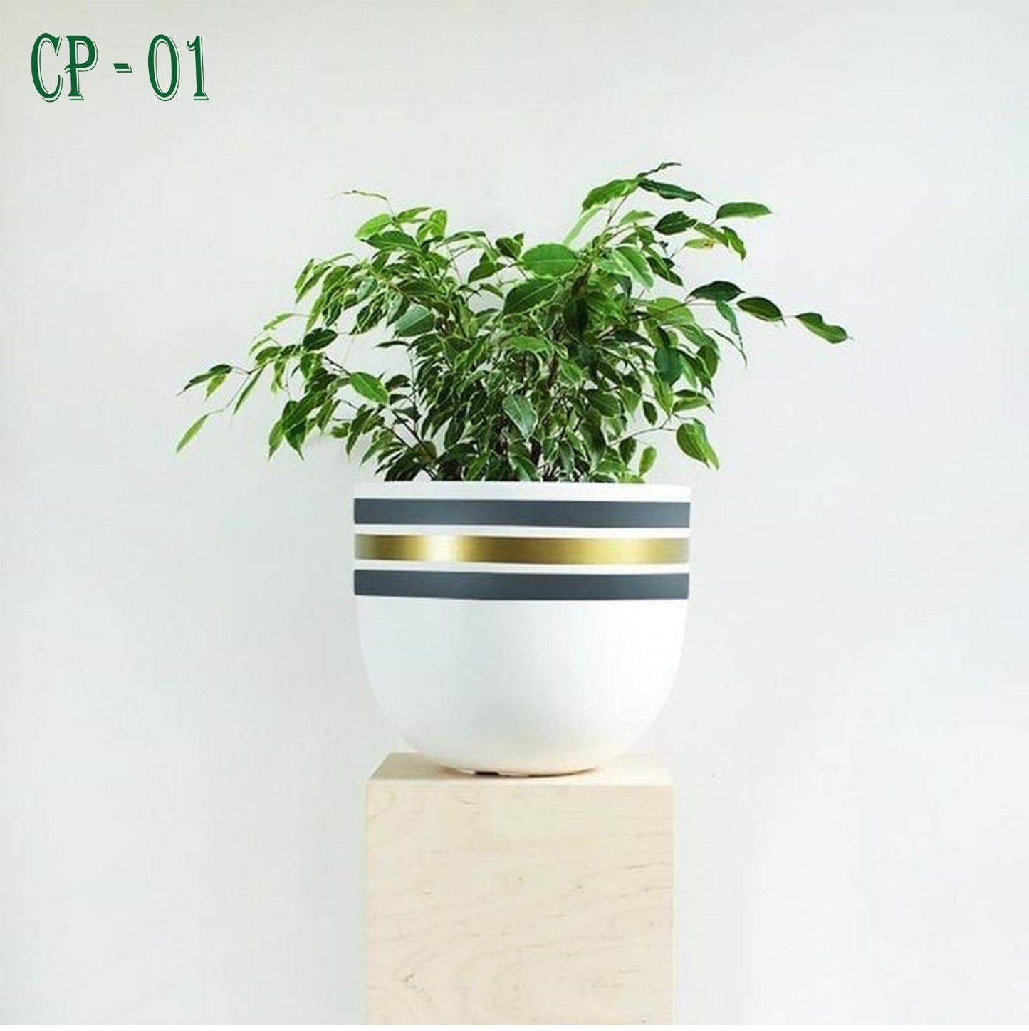 وعاء نبات فخاري CP-01