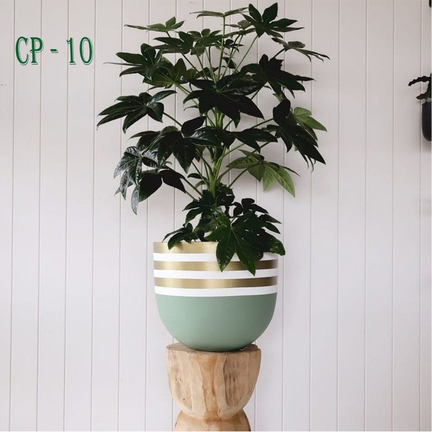 وعاء نباتات فخاري CP-10