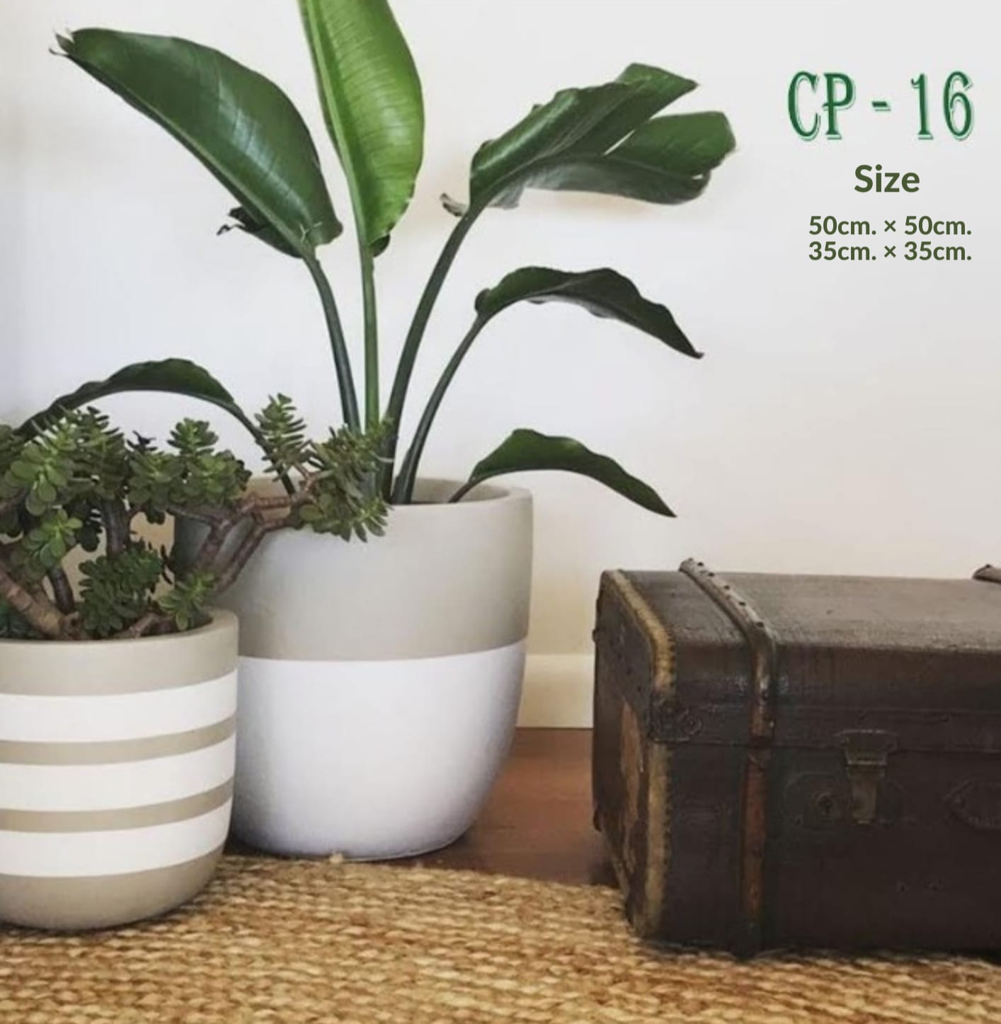 Set of pottery Plant pot (2 pieces) - CP-16