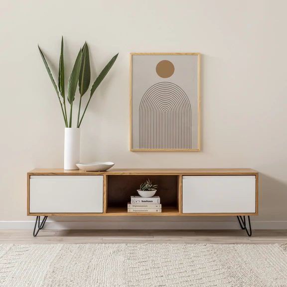 TV unit-DE21