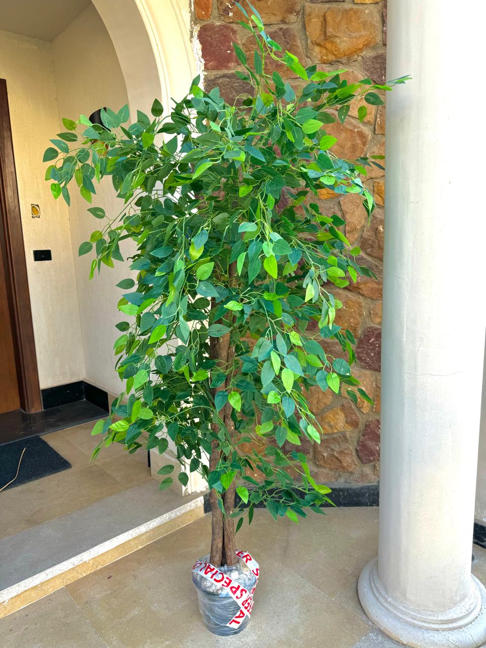 Artificial Benjamin Tree - Black-HMLX23