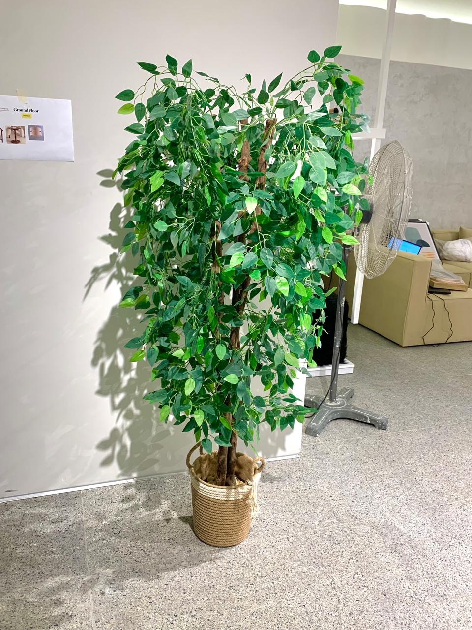 Artificial Benjamin Tree - Rope Pot - 170 x 50 cm-HMLX51