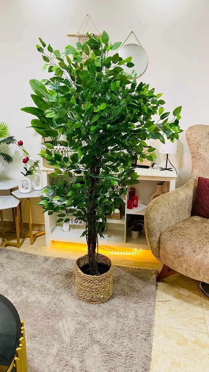 Artificial Benjamin tree with rope pot - 150 x 45 cm --HMLX86