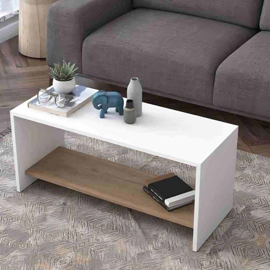 Counter coffee table - 50 x 100 x 40 cm-ANT.WO.am101