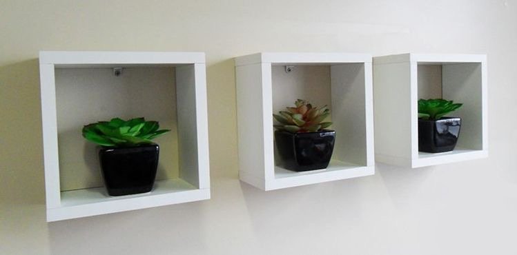 Canary shelves - 170
