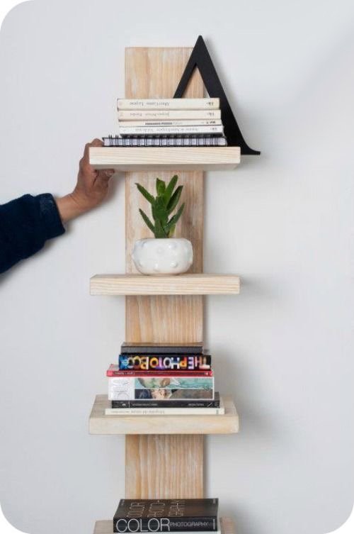 Canary shelves 193