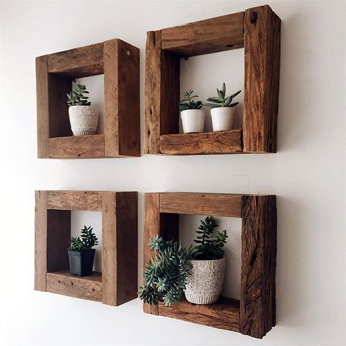 Canary shelves - 200