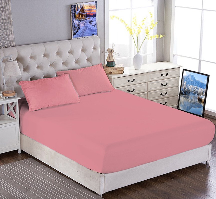 Every Bed Bed - Coil