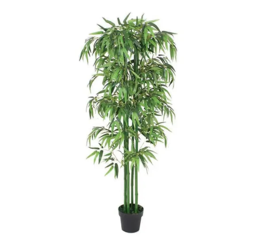 Bamboo tree + pot-CF-118