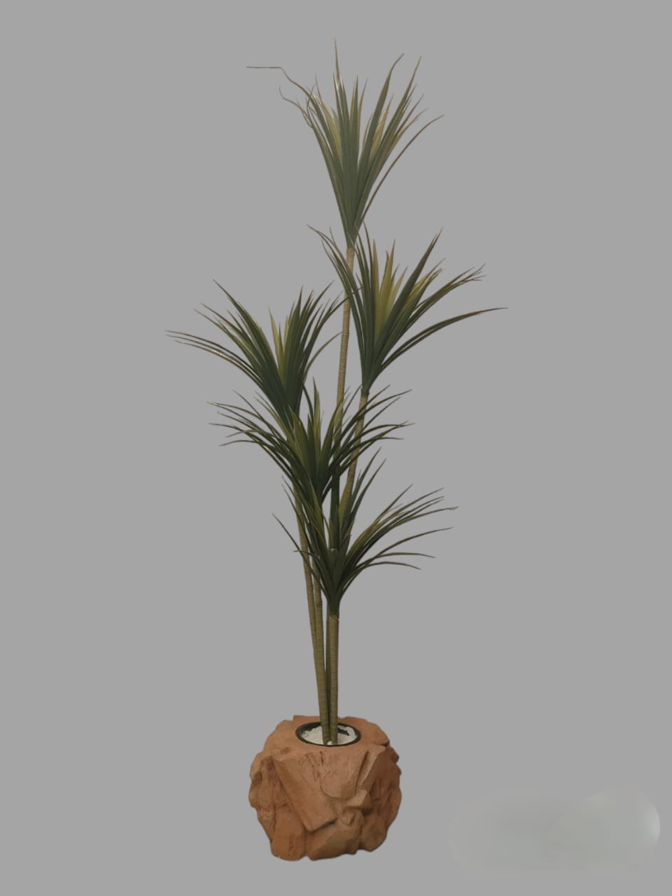 Yucca Tree+Pot-CF-120