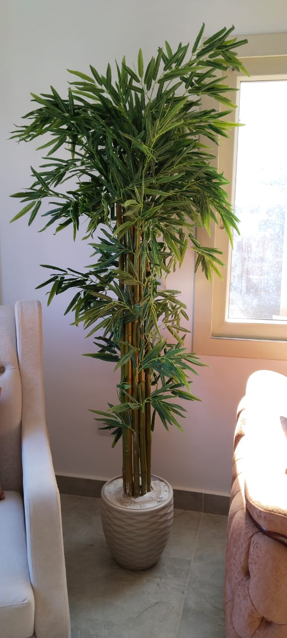 Bamboo tree + pot-CF-126