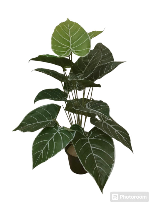 Pothos tree + pot-CF-127