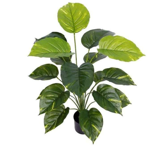 Pothos tree + pot-CF-130