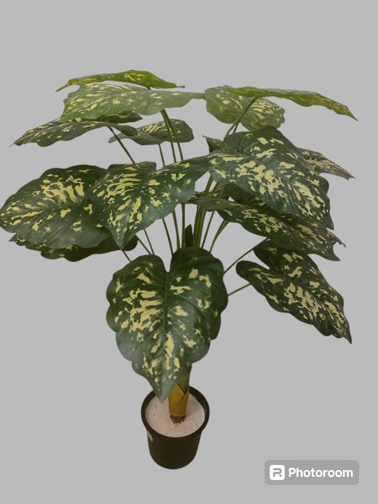 Pothos tree + pot-CF-150