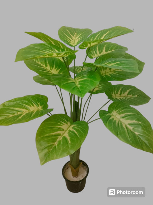 Pothos tree + pot-CF-151