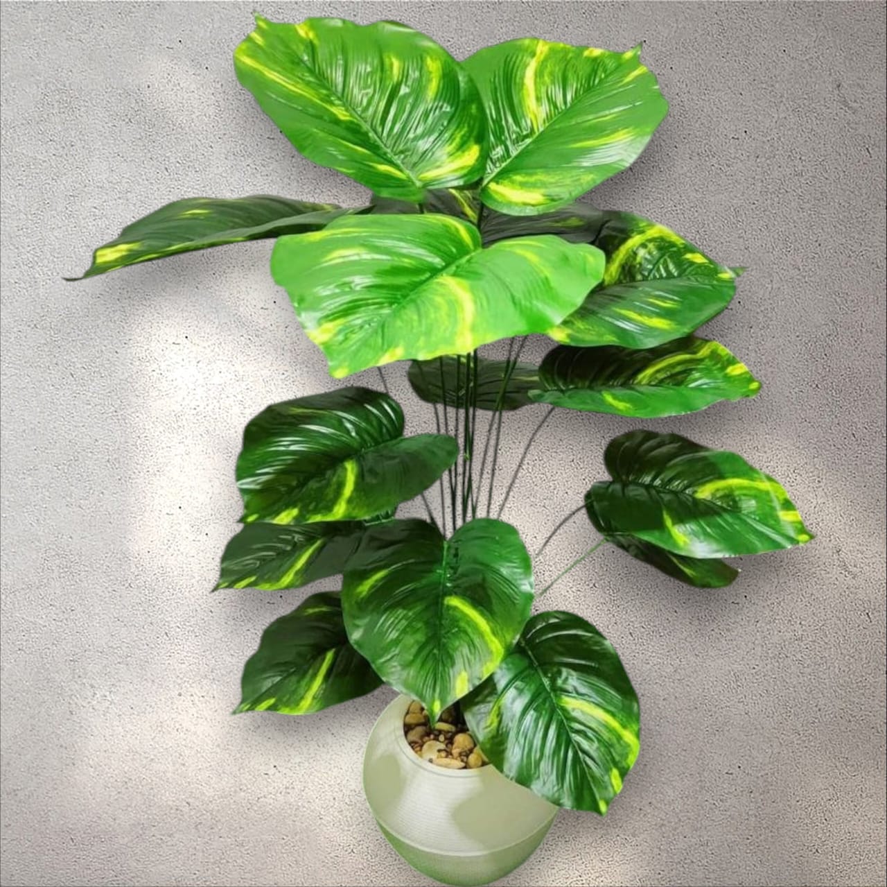 Ghostly pothos tree +pot-CF-190