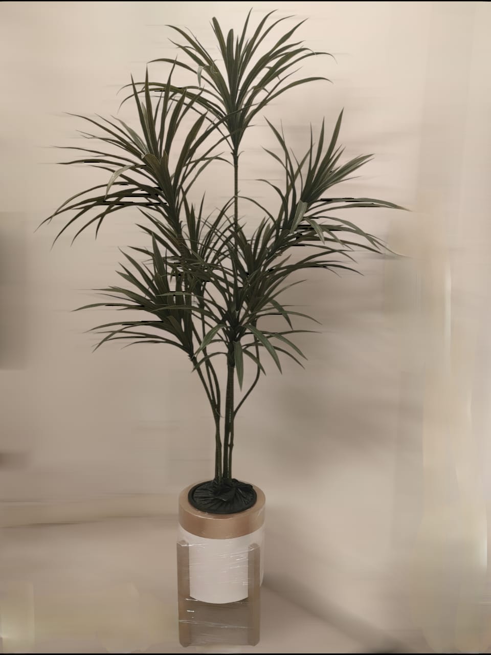 Yucca Tree + Pot-CF-212