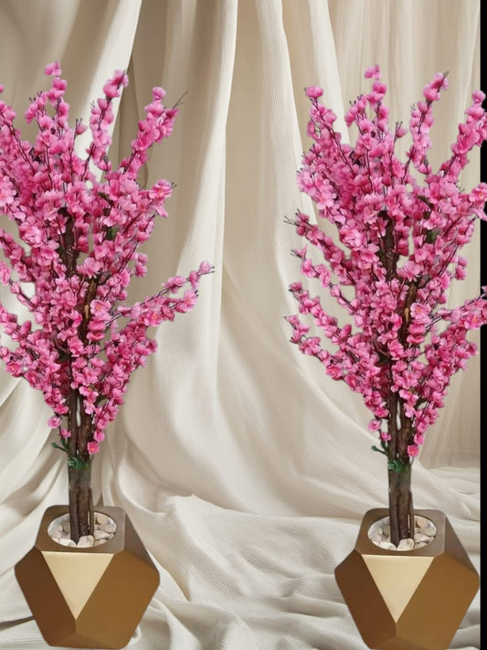 Rose apricot tree + pot-CF-224