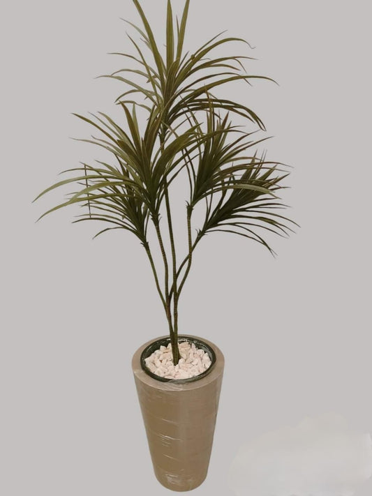 Puka + Pot tree-CF-231