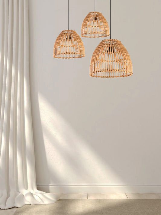 Ceiling Lamp-Ce_Bo_Ba_068