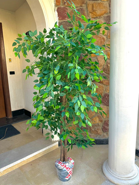 Artificial Benjamin Tree  - Black-HMLX23