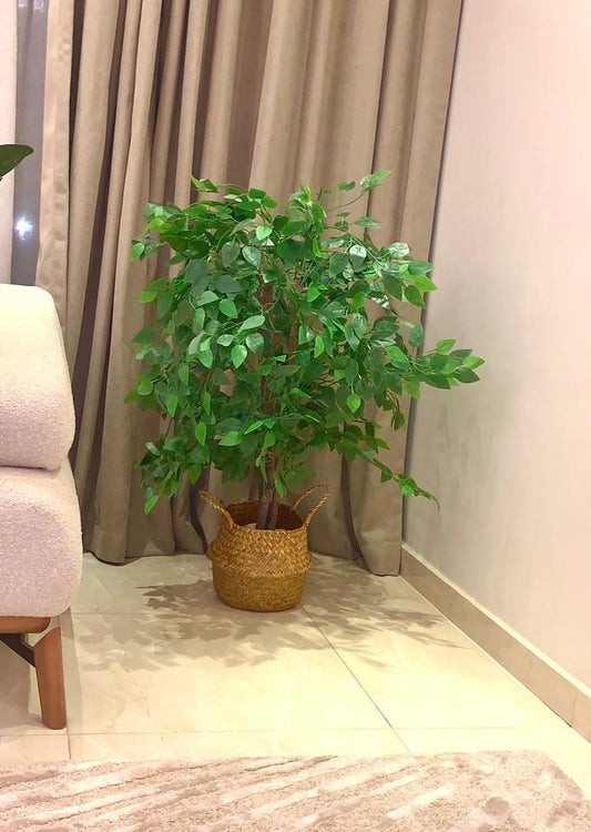 Artificial Benjamin Tree - Wicker Pot - 70 x 50 cm-HMLX33