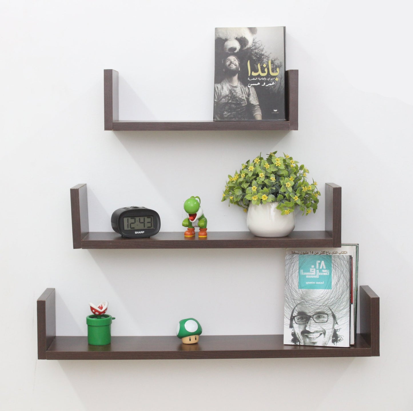 Kanariya shelves - 1